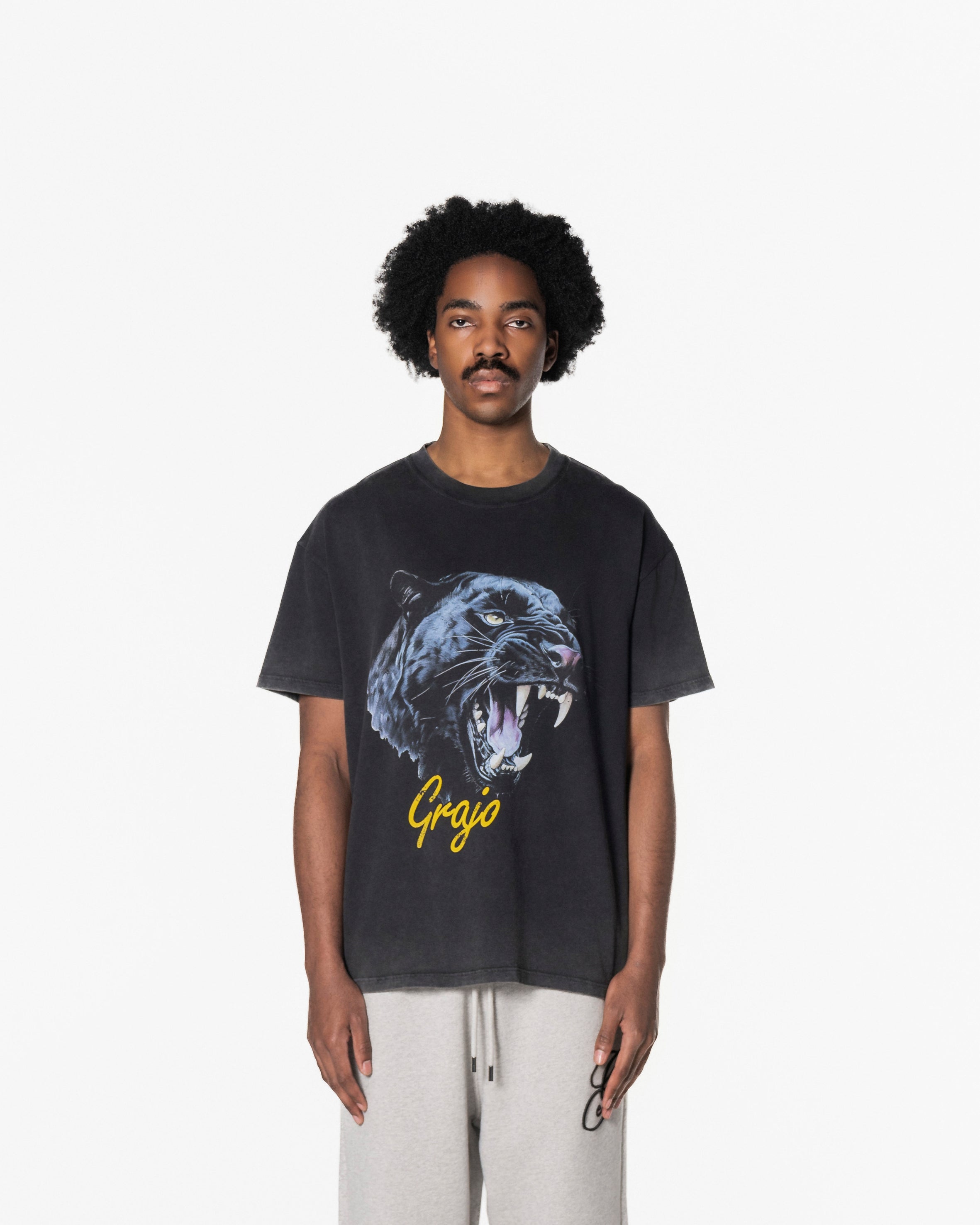 PANTHER T WASHED