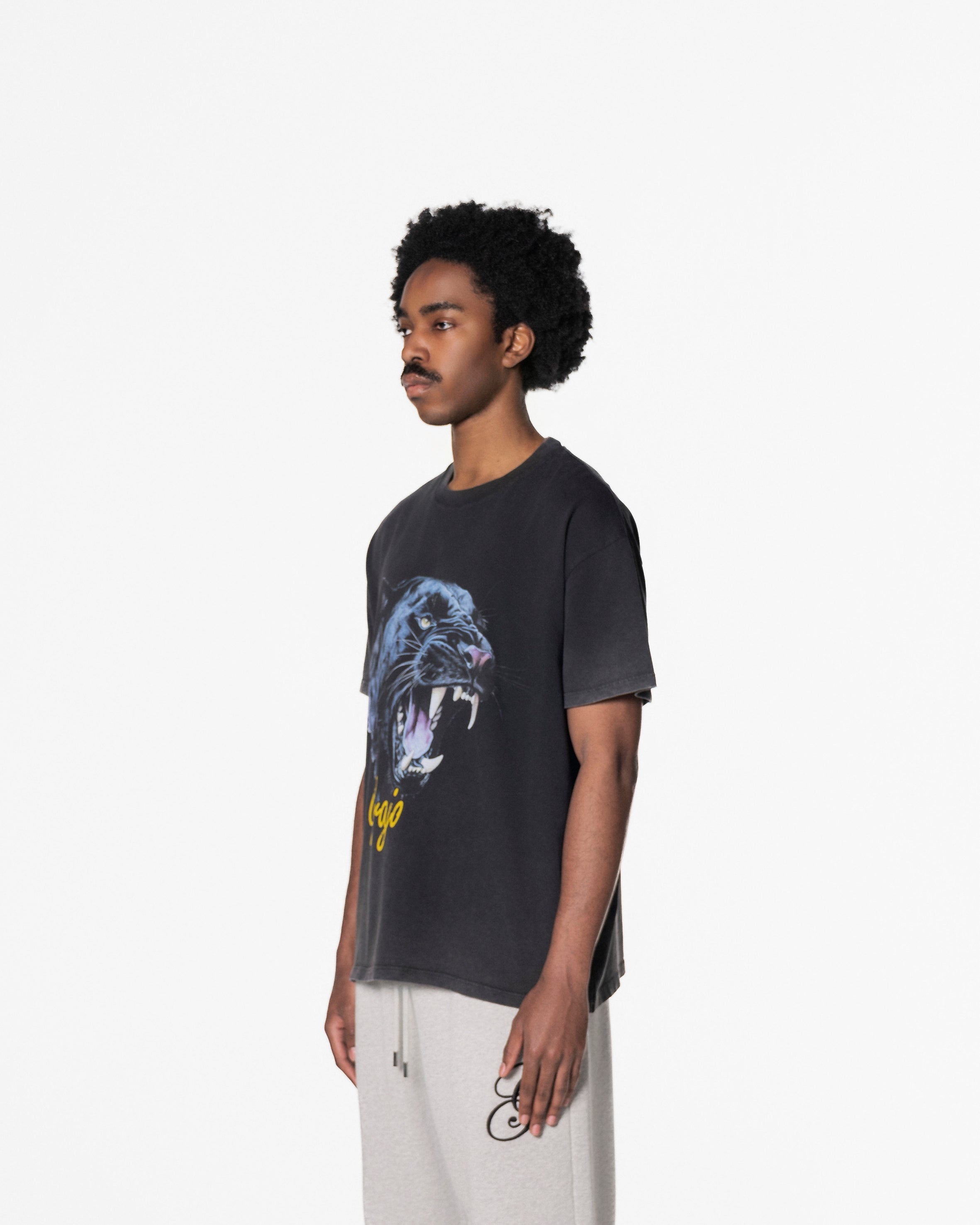PANTHER T WASHED